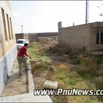 گرگ در دانشگاه پیام نور میاندوآب