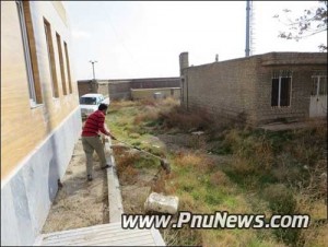 گرگ در دانشگاه پیام نور میاندوآب