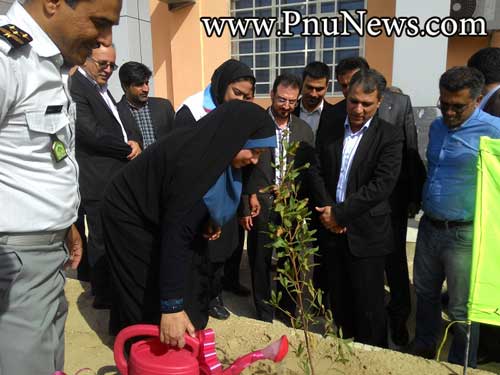 روز درختکاری پیام نور قشم
