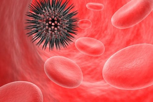 blood cells