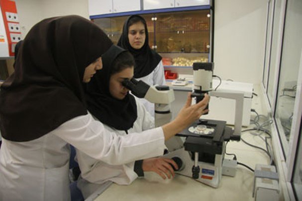 پسا دکتری